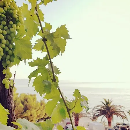 By The Sea